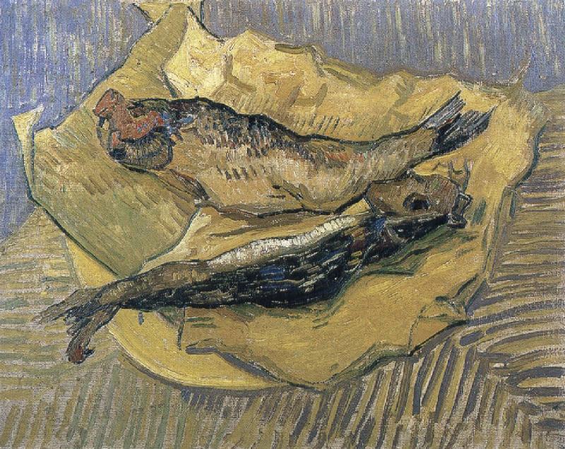 Vincent Van Gogh herrings Norge oil painting art